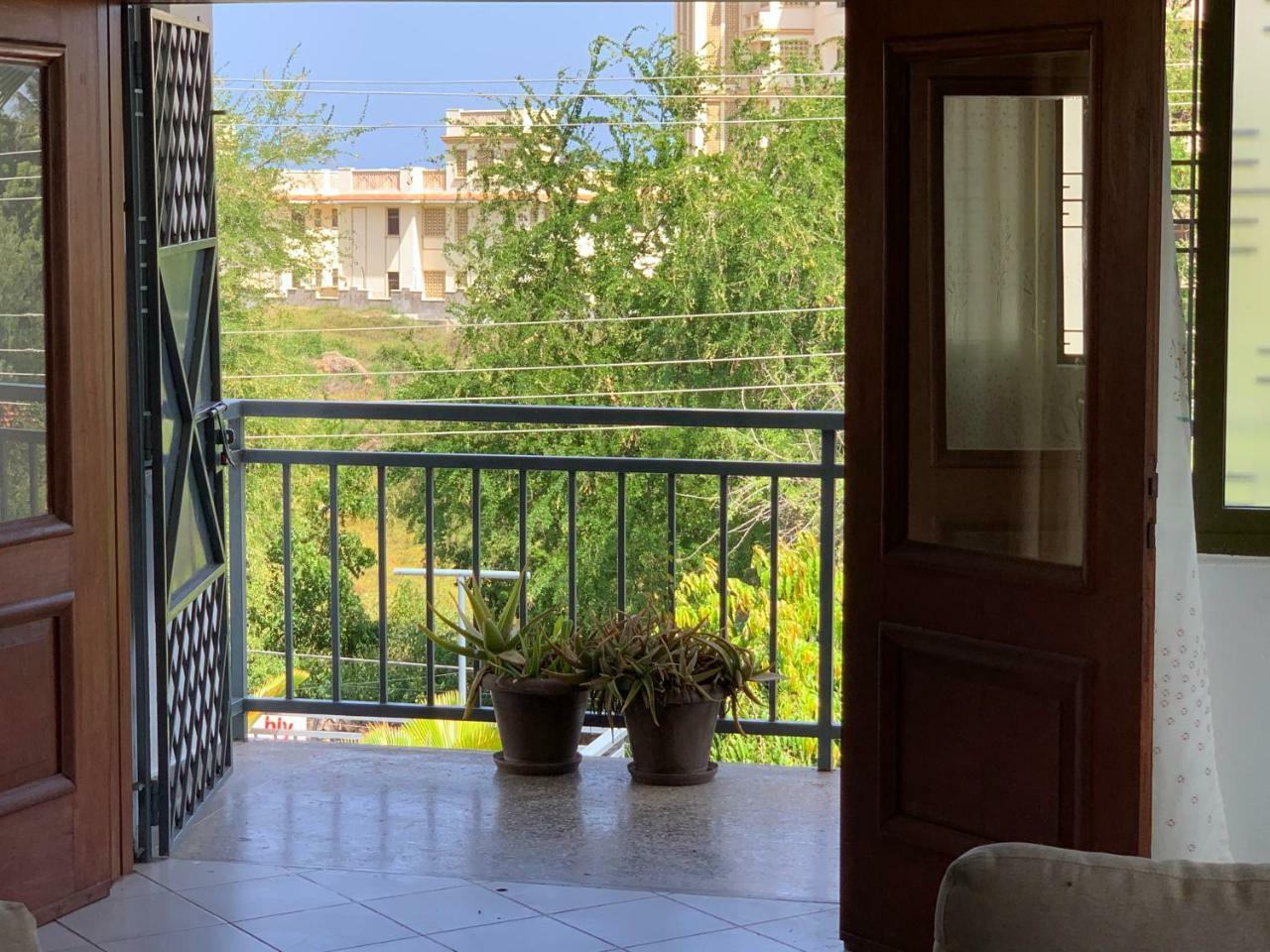 Paradise Apartment